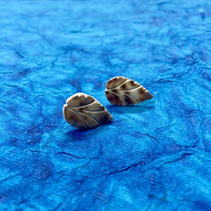 Pannchi Tiger Shell Collection