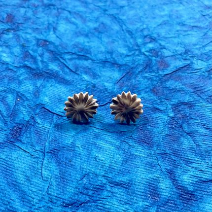 Pannchi Tiger Shell Collection